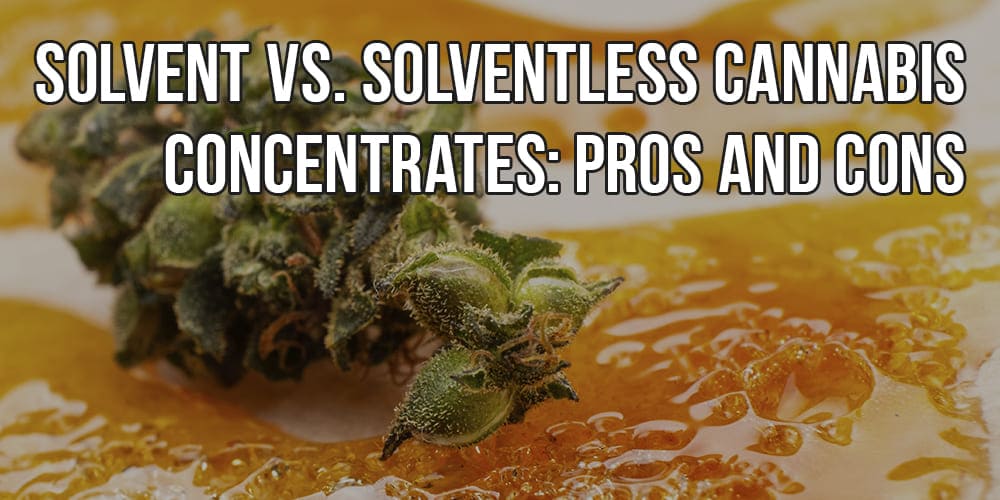 Solventless Concentrates