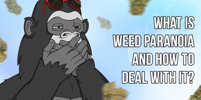Paranoia Insect What is weed paranoia and how to deal with it? | APE Premium Cannabis