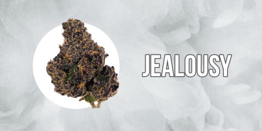 Jealousy strain