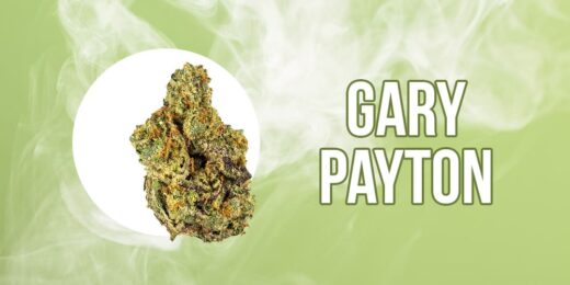 Gary Payton Strain