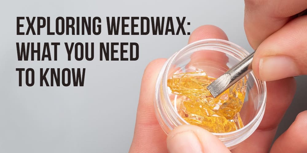 How Cannabis Wax Is Made – Media Bros