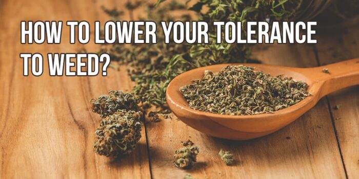 How To Lower Your Tolerance For Weed Without Stopping Smoking How to lower your THC tolerance? | APE Premium Cannabis