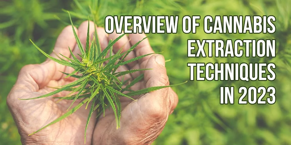 Overview of Cannabis Extraction Techniques in 2023