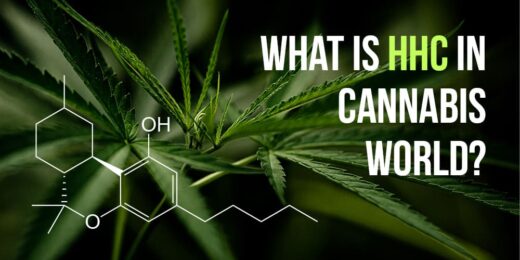 HHC