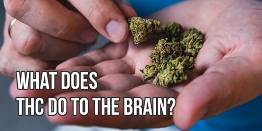 what does THC do to the brain