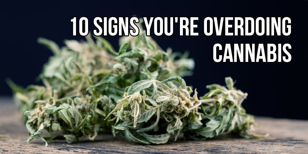 10 Signs You're Overdoing Cannabis