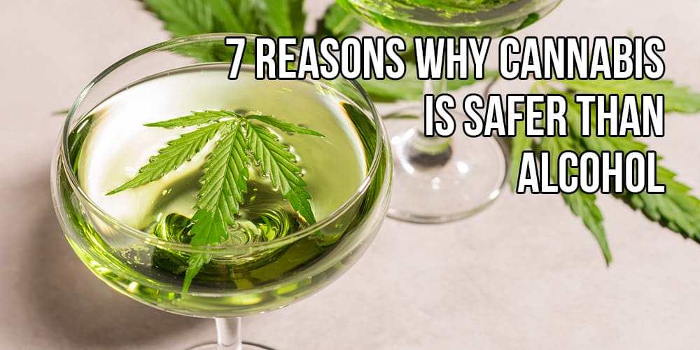 7 Reasons Why Cannabis Is Safer Than Alcohol