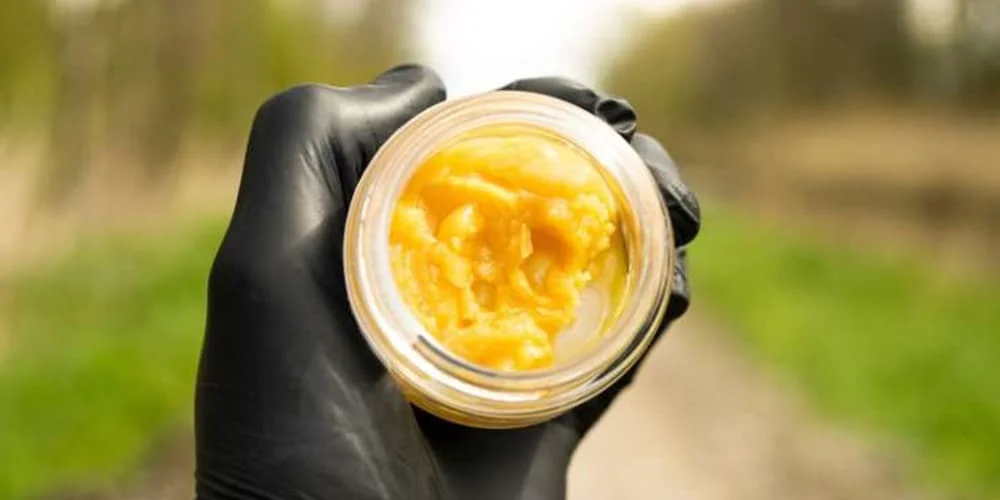 Budder, Resin, and Sauce: Understanding Cannabis Concentrates