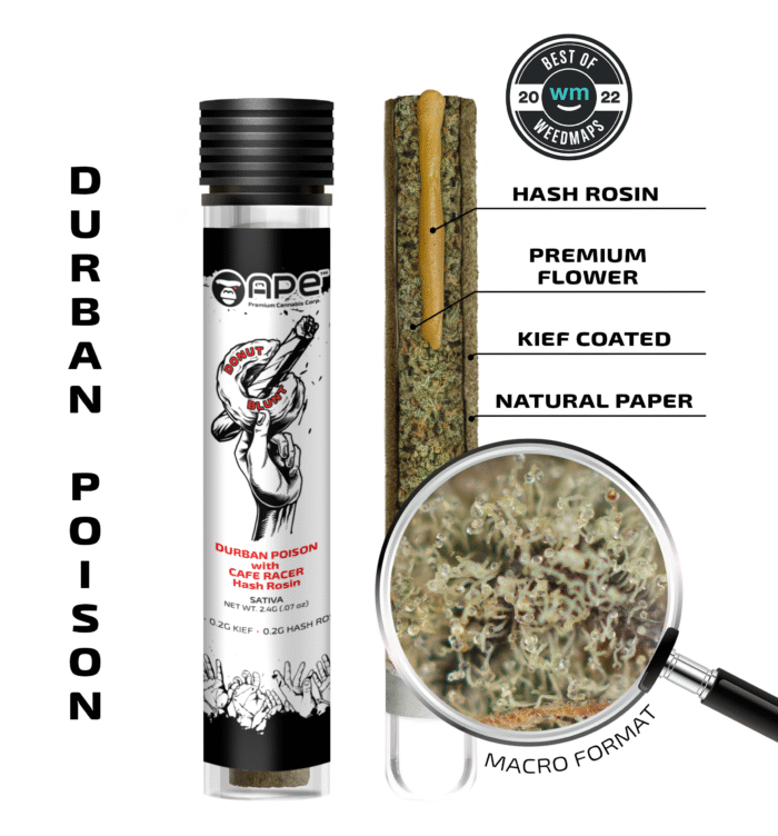 Durban Poison and Cafe Racer hash hole pre-roll with visible hash core, artisan-rolled and premium cannabis.