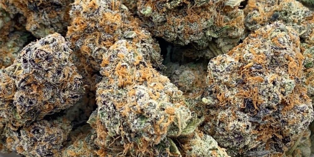 Best Apple Strains of Weed in 2023