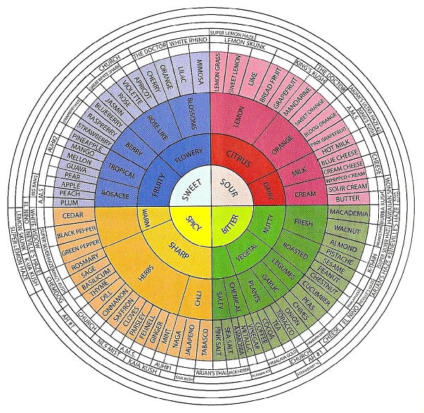 Weed Terpenes: Exploring the Fascinating Realm