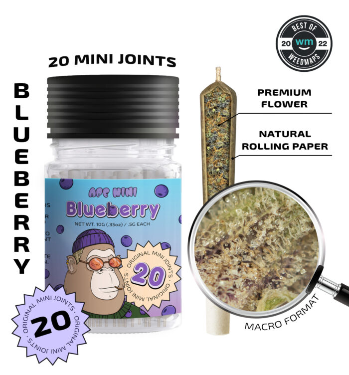 Blueberry — 20 original mini joints (10g | 0.5g each)