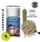 Blueberry — 5 original mini joints (2.5g | 0.5g each)