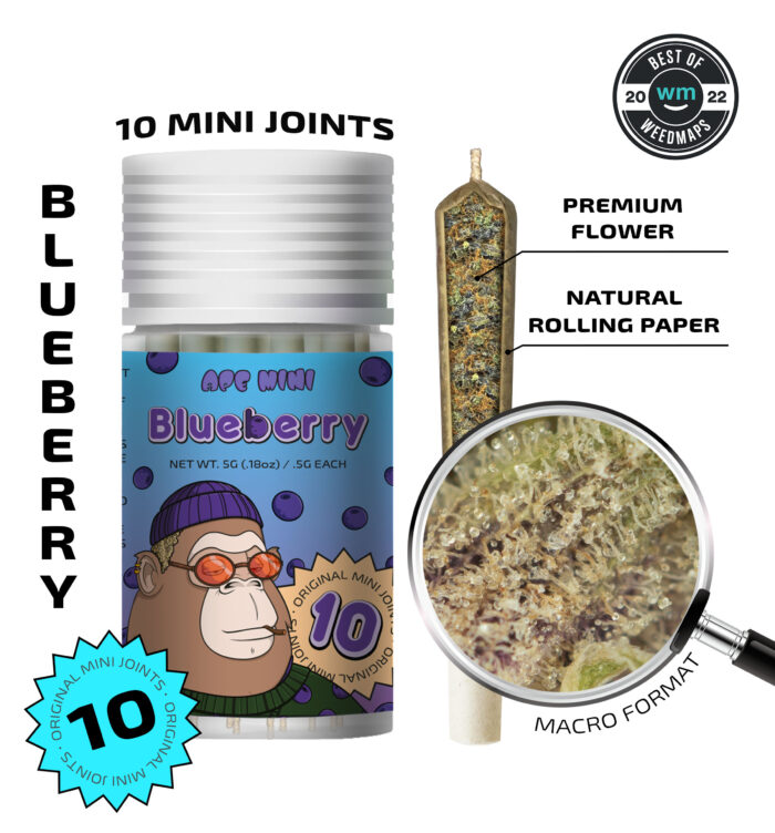 Blueberry — 10 original mini joints (5g | 0.5g each)