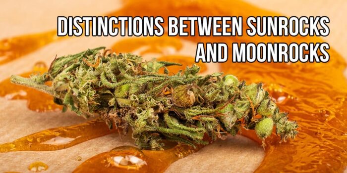Distinctions Between Sunrocks and Moonrocks | APE Premium Cannabis