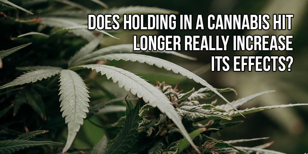 Does Holding in a Cannabis Hit Longer Really Increase Its Effects?