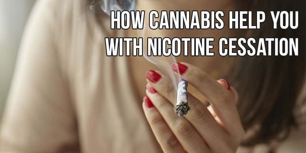 How Cannabis help you with Nicotine Cessation
