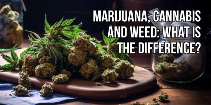 Marijuana, Cannabis and Weed: What is the Difference? | APE Premium ...