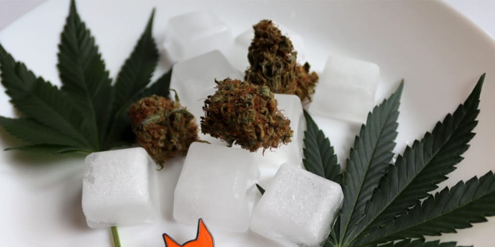 How Cannabis Freezing Can Enhance Your Experience?