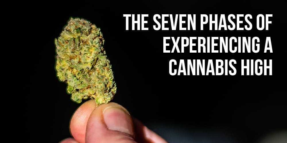 The 7 Phases of Experiencing a Cannabis High