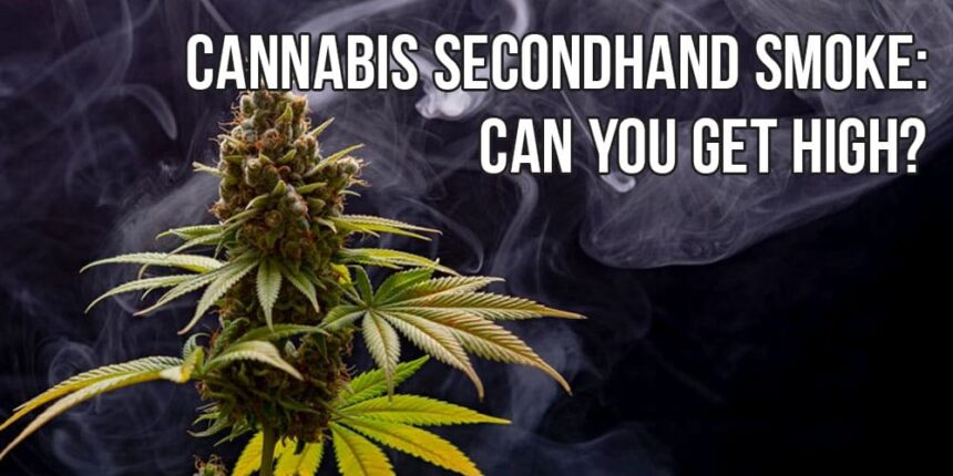 Cannabis Secondhand Smoke: Can You Get High? | APE Premium Cannabis