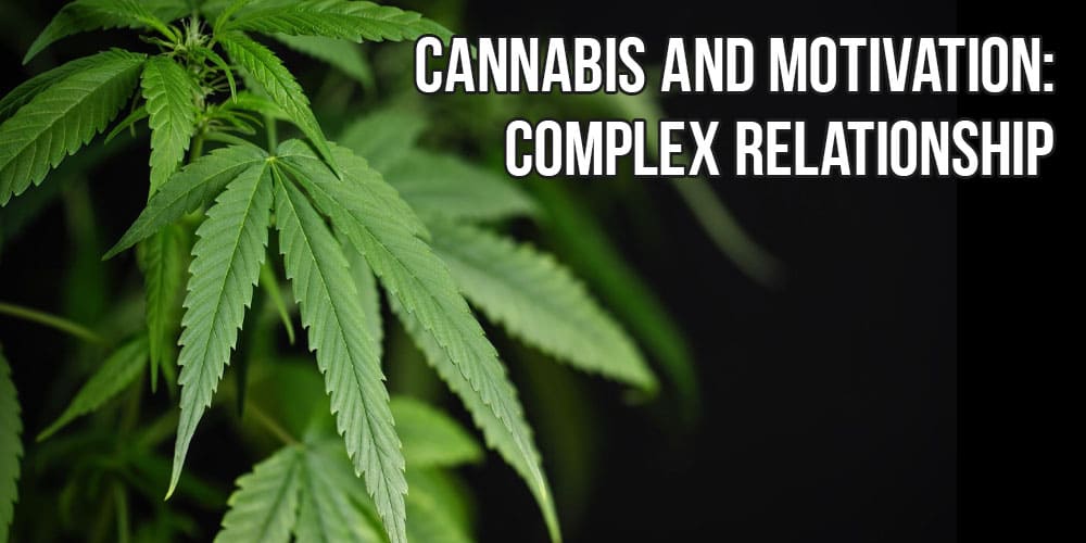 Cannabis and Motivation: Complex Relationship