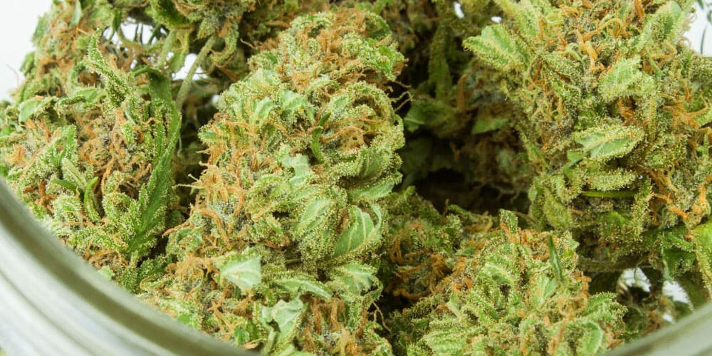 5 Surprising Facts About THC