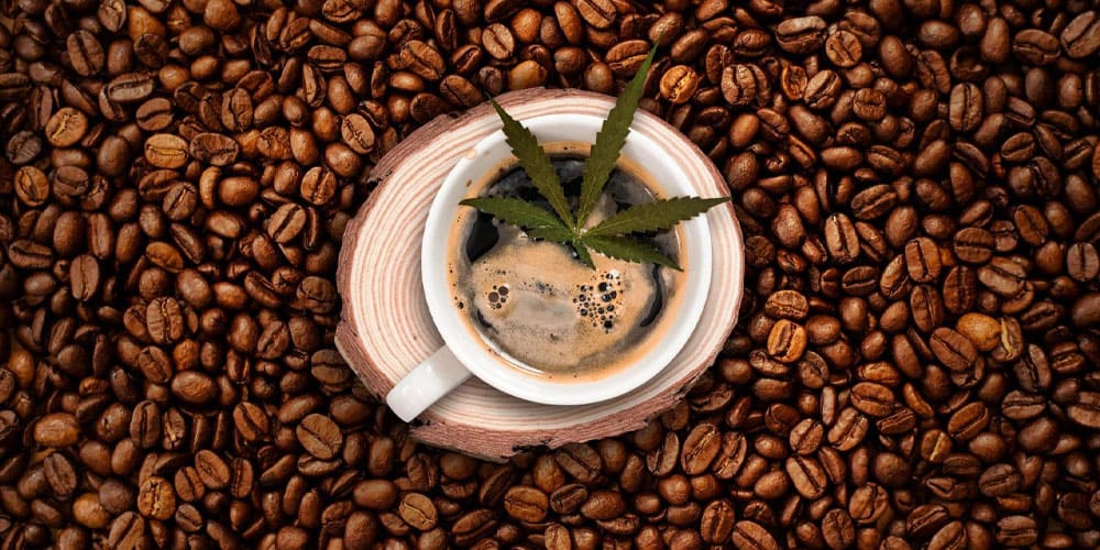 Effects of Combining Cannabis with Coffee