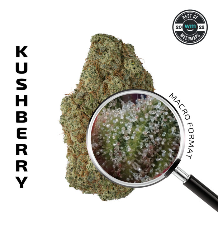 KUSHBERRY (Indica) — Premium Flower