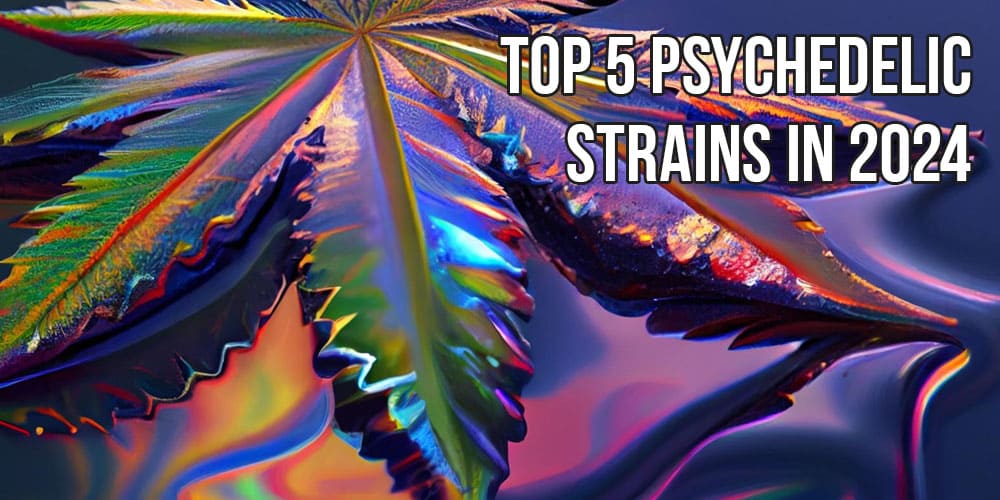 Top 5 Psychedelic Strains In 2024