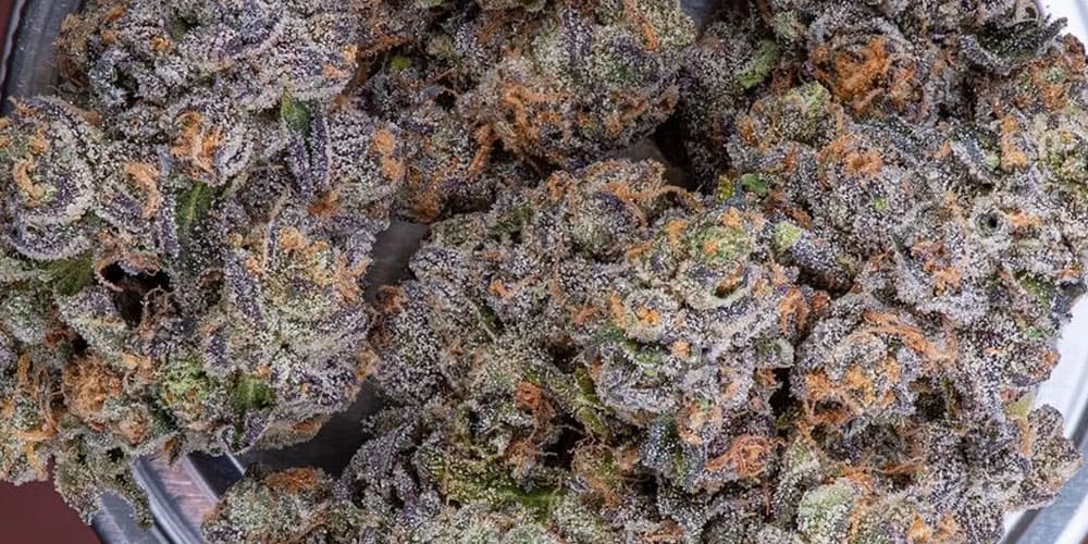 Top 5 new weed strains in 2024
