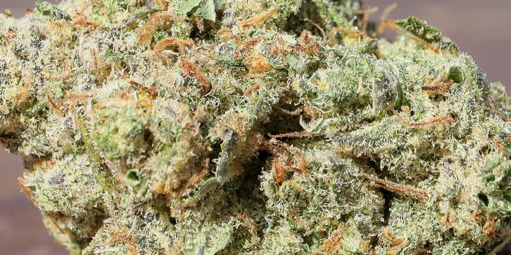 Top 5 weed strains for ADHD