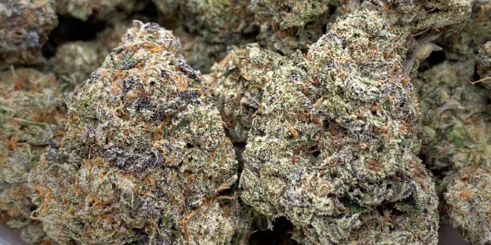 Donkey Butter Strain: Effects and Uses