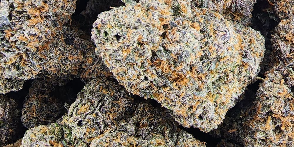 Top 5 new weed strains in 2024