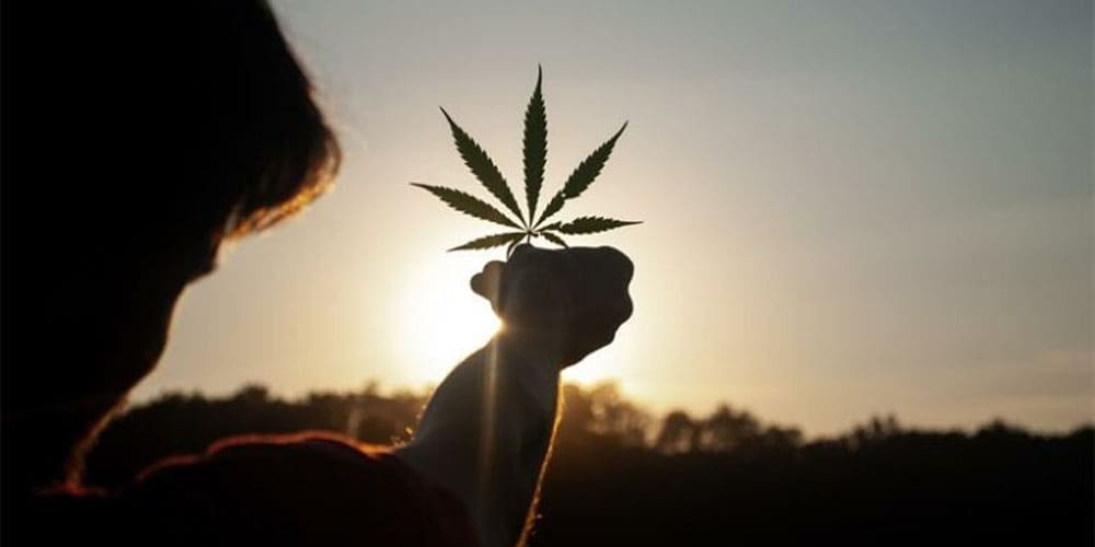 Weed and Spirituality: Intersection of Cannabis and the Soul