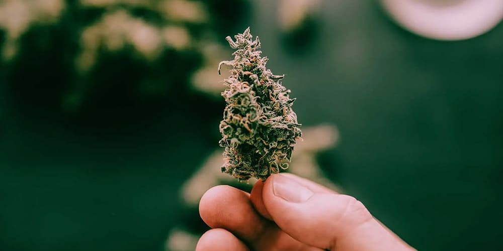 Weed Psychosis: Risks and Prevention Strategies