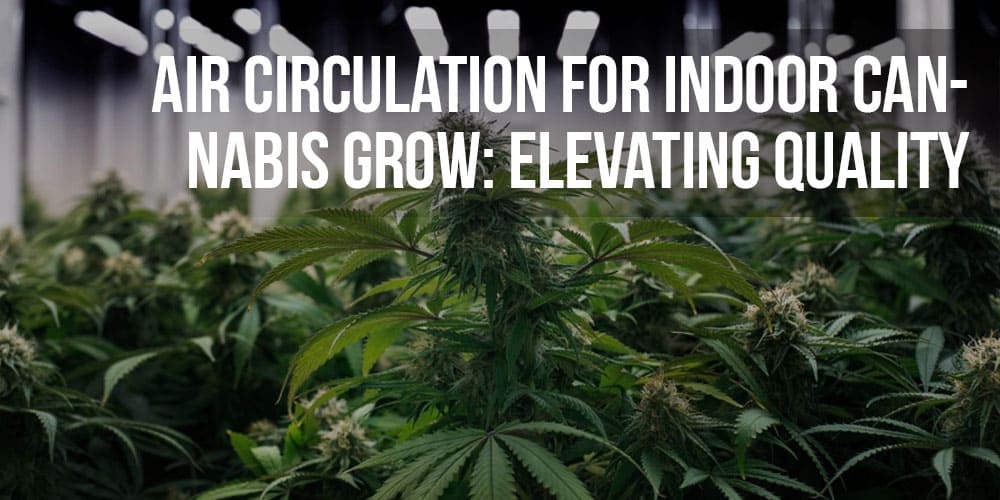 Air Circulation for Indoor Cannabis Grow: Elevating Quality