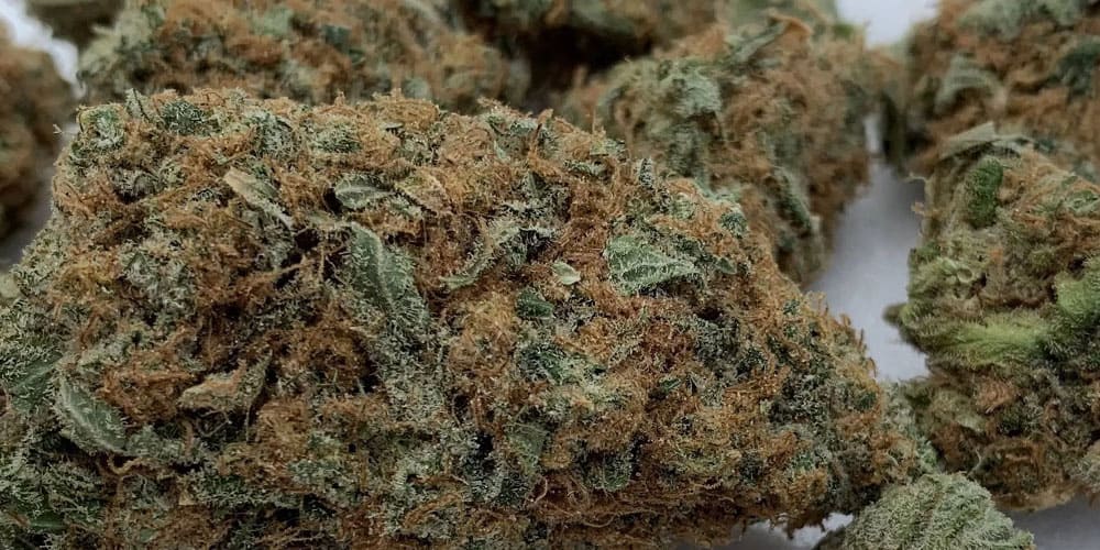 Best-Looking Cannabis Strains