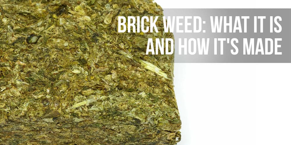 Brick Weed: What It Is And How It's Made