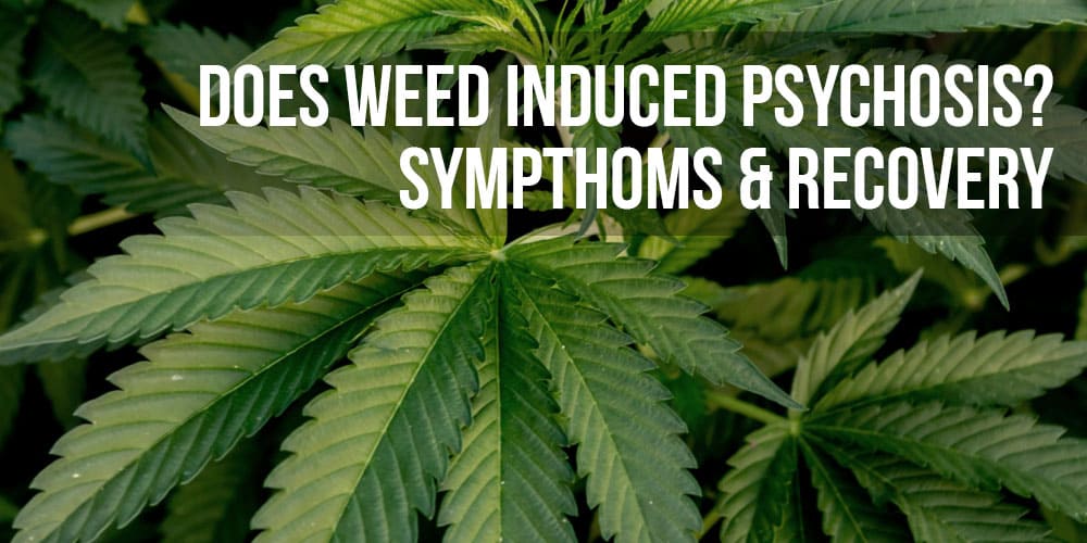 Does weed induced psychosis? Sympthoms & Recovery