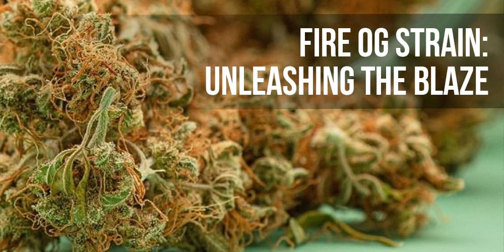 Fire OG Strain: Unleashing the Blaze