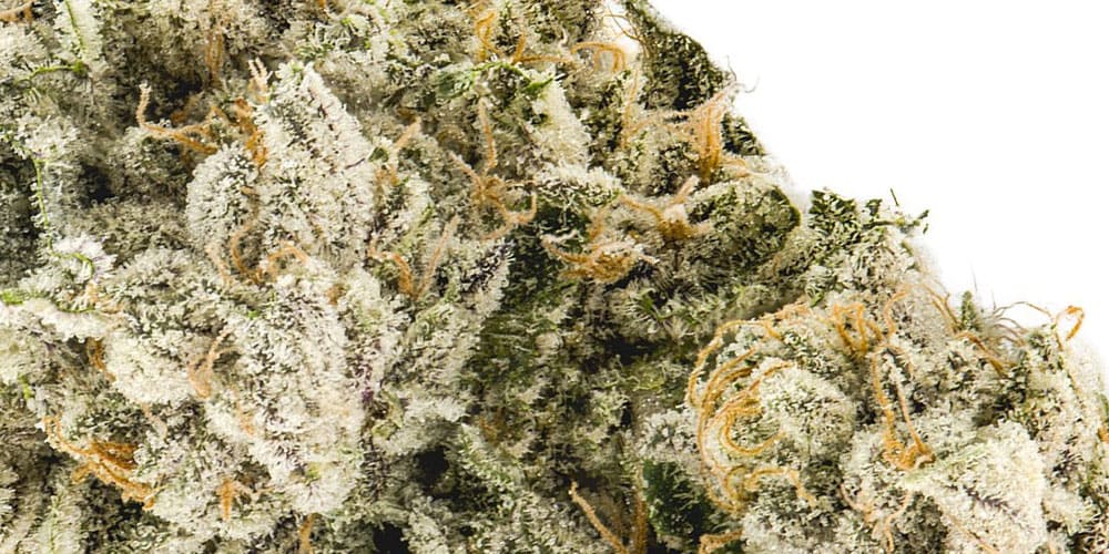 Top 5 Energizing Strains Of Weed