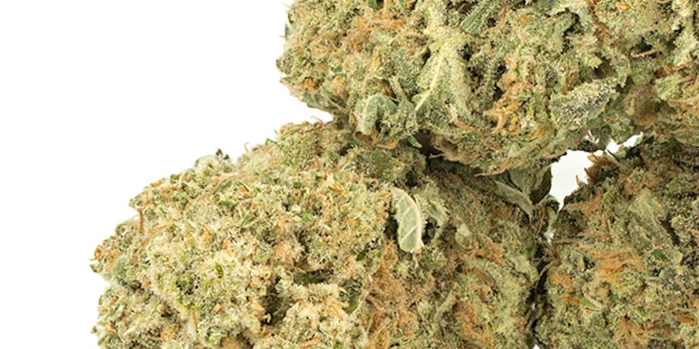 Top 7 Weed Strains From California