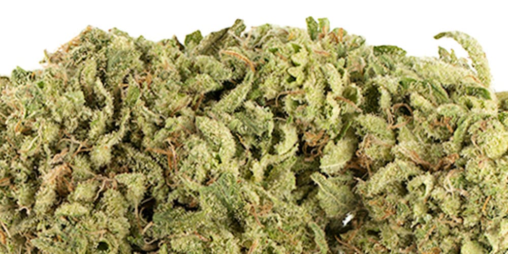 Top 5 Energizing Strains Of Weed