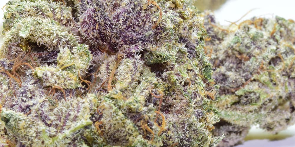 7 Best-Looking Cannabis Strains: Beauty in Bud Form