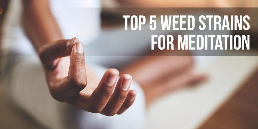 Top 5 Weed Strains For Meditation