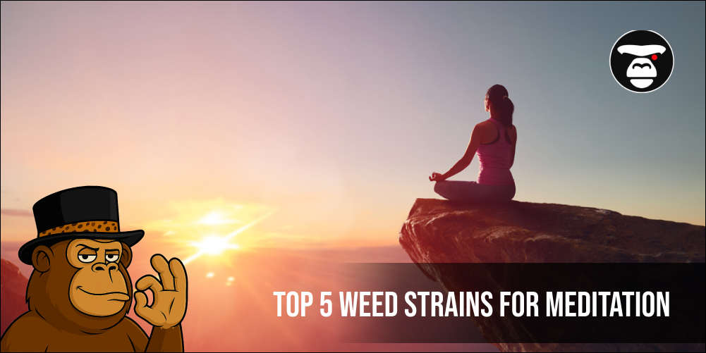 Top 5 Weed Strains For Meditation