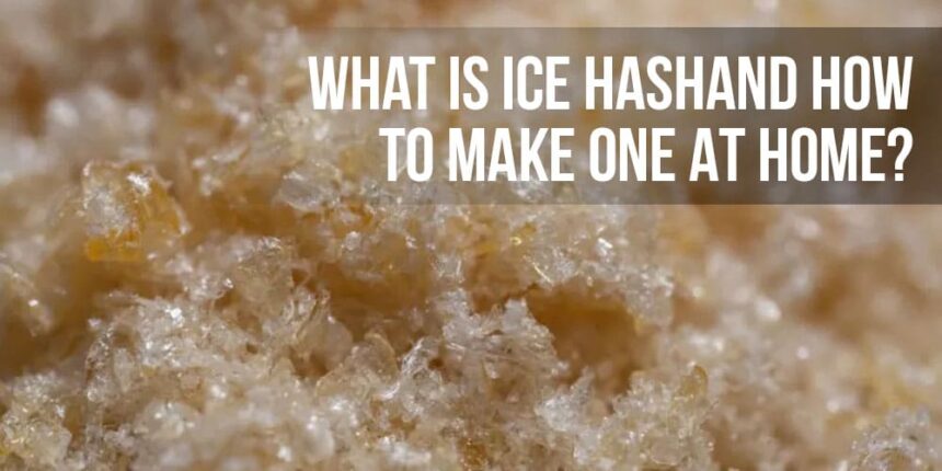 What Is Ice Hash And How To Make One At Home? | APE Premium Cannabis