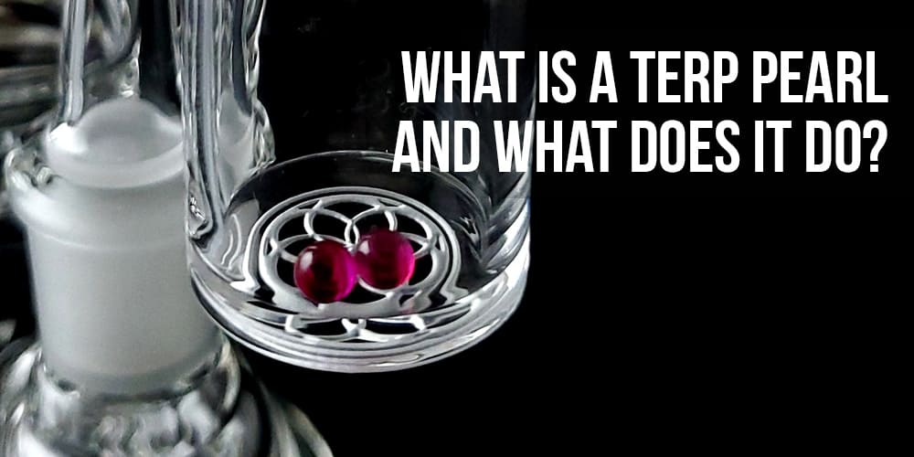 What is a Terp Pearl and What Does It Do?