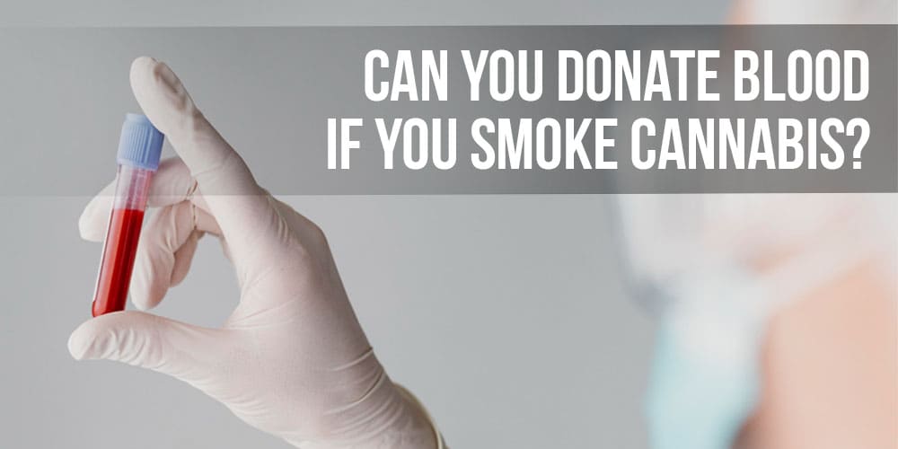 Can You Donate Blood If You Smoke Cannabis?
